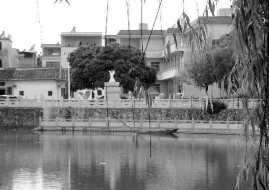 老鄉(xiāng)眼里的李河君：陌生富豪，夫人助其發(fā)財(cái)